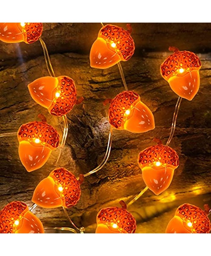 TURNMEON 2 Pack 3D Thanksgiving Decorations Acorns String Lights Fall Garland Total 20Ft & 60 Led Warm White Battery Powered Fall Lights for Thanksgivings Autumn Home Indoor Outdoor Decorations
