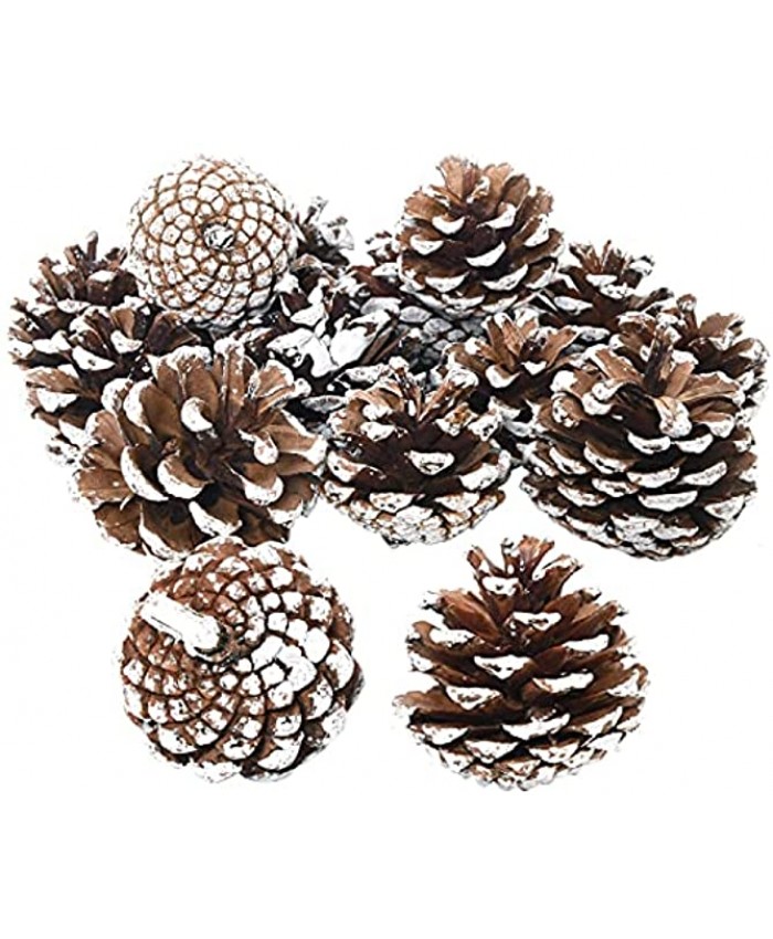 Rocinha Natural Pine Cones in Bulk Pinecone Ornaments Christmas Pine Cones for Crafts Christmas Tree Ornaments Hanging Decoration Vase Filler20 Pieces,2-2.4 Inches