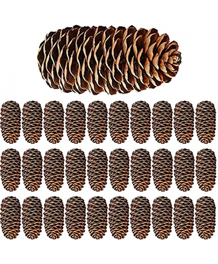 Rcanedny 30 Pieces Large Christmas Snow Pine Cones Natural Pine Cones Natural Pinecones for Christmas Party Ornament DIY Crafts Home Decoration 6-8 cm