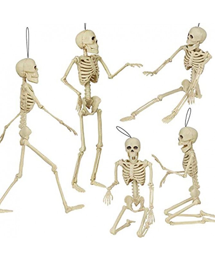Halloween Skeletons Ghosts Full Body Realistic Faux Human Skeleton Halloween Skull Decor with Movable Posable Joints Scary Props 5 White