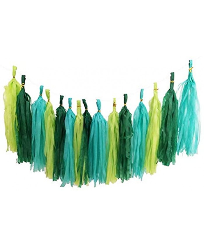 Party Hanging Decoration Mixed Mint Green Paper Tassels Garland Wedding Banner Bunting Baby Shower Garlands Need DIY Set