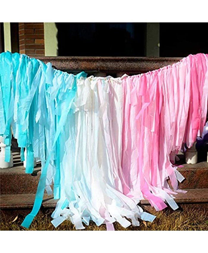 Melody Fantasy 200 Plastic Strips Pink Blue Streamer Backdrop Pastel Plastic Fabric Fringe Backdrop for Gender Reveal Baby Shower Party Decorations
