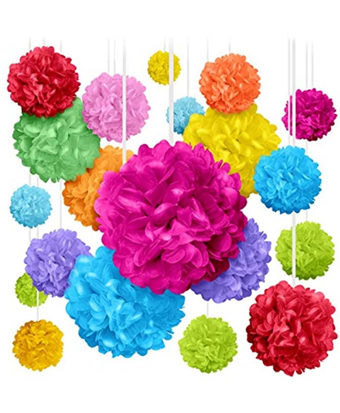 20 Colorful Pom Poms for Birthdays Parties and Event Decorations Tissue Paper Flowers Assorted Sizes of 6" 8" 10" 14" by Avoseta