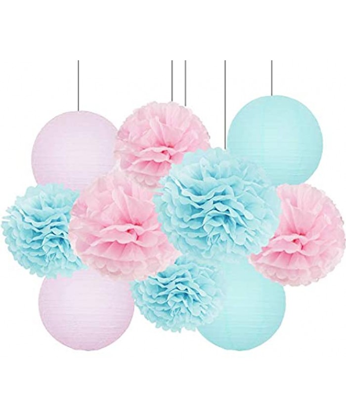 Gender Reveal Party Decorations Baby Shower Decorations Baby Blue Pink Tissue Paper Pom Pom Flowers Paper Lanterns for Birthday Pink and Blue Decorations Gender Reveal Decorations