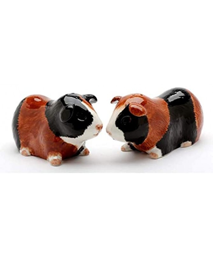 Cosmos Gifts 20745 Guinea Pig Salt and Pepper Shaker Red